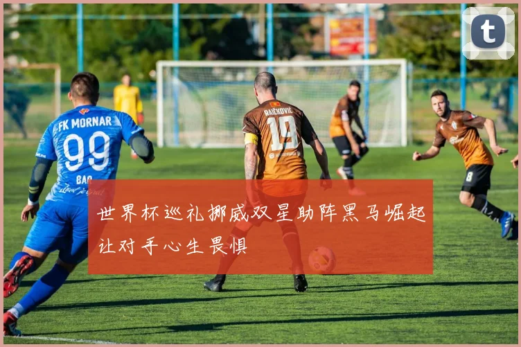 世界杯巡礼挪威双星助阵黑马崛起让对手心生畏惧