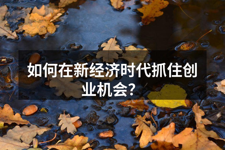 如何在新经济时代抓住创业机会？